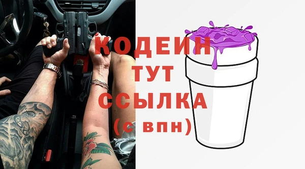 прущие грибы Вязники