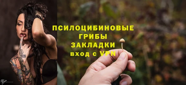 крисы Сосновка