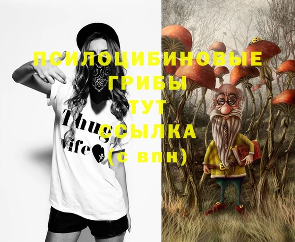 герыч Бородино