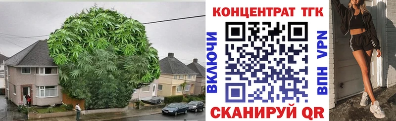 Дистиллят ТГК гашишное масло  Инта 