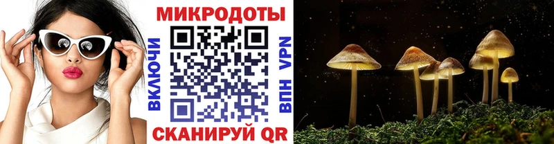 купить наркоту  Инта  Псилоцибиновые грибы GOLDEN TEACHER 